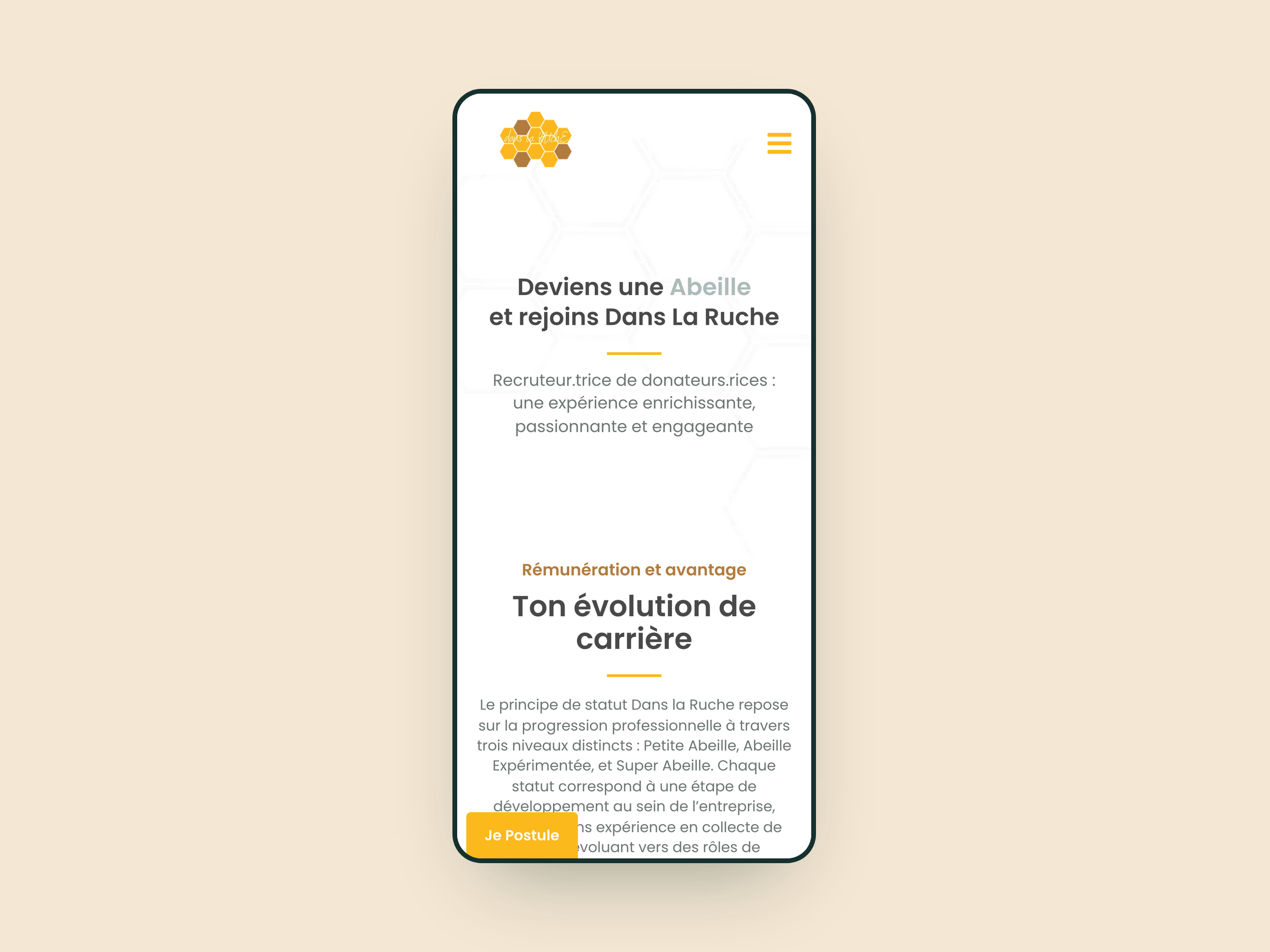 Page Carrière du site de Dans La Ruche sur téléphone : « Deviens une Abeille et rejoins Dans La Ruche » et l’évolution de carrière